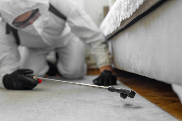 Professional Cockroach Control technician working in Alturas, CA