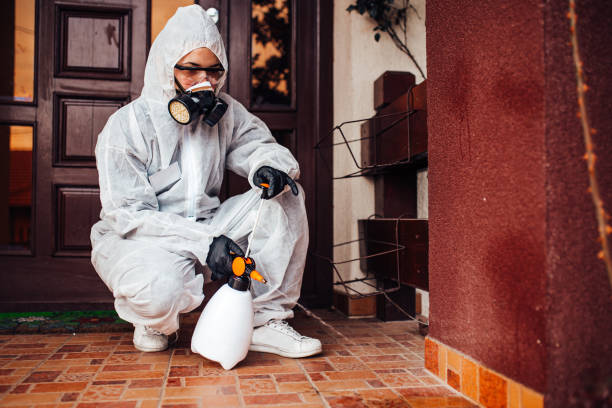 Reliable Cockroach Control contractor in Alturas, CA by Nex Pest Control